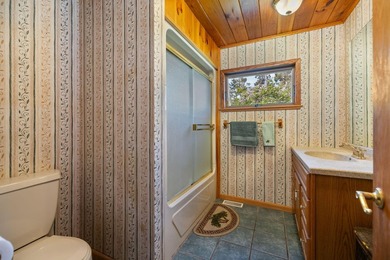 Welcome to Dixon Lake! Boasting 100 feet of frontage on this - photo 19