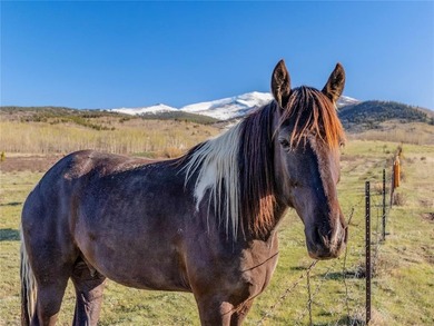 Welcome to Silverheels Ranch, named after Mount Silverheels - photo 20