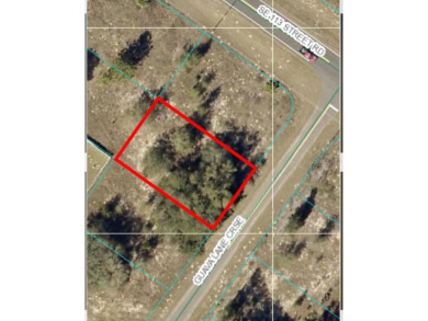 Lake Lot For Sale in Ocklawaha, Florida