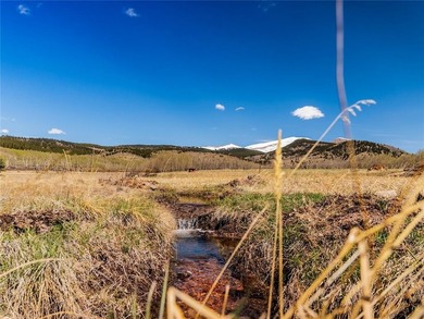 Welcome to Silverheels Ranch, named after Mount Silverheels - photo 21
