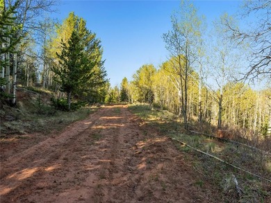 Welcome to Silverheels Ranch, named after Mount Silverheels - photo 23