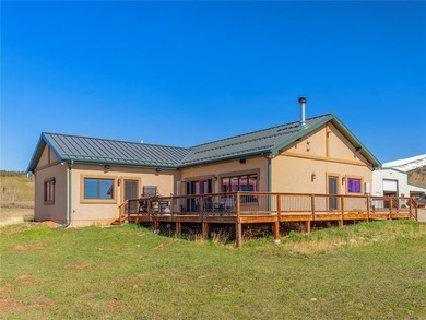 Welcome to Silverheels Ranch, named after Mount Silverheels - photo 25