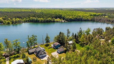 Welcome to Dixon Lake! Boasting 100 feet of frontage on this - photo 26
