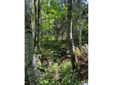 Thoughtfully stewarded under a conservation easement with North - photo 28