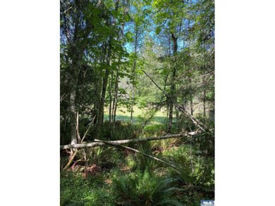 Thoughtfully stewarded under a conservation easement with North - photo 29