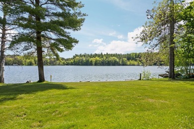 Welcome to Dixon Lake! Boasting 100 feet of frontage on this - photo 39