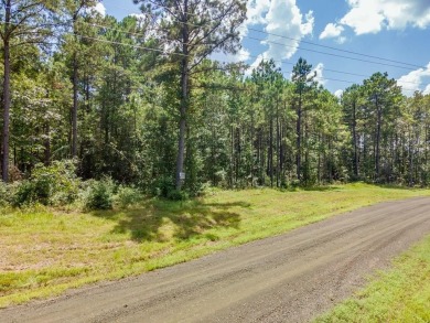 Lake Sam Rayburn  Acreage For Sale in Broaddus Texas