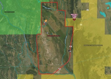 Welcome to Silverheels Ranch, named after Mount Silverheels - photo 50