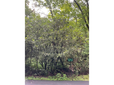 Lake Sequoyah Lot For Sale in Highlands North Carolina