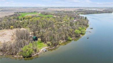 Lake Home For Sale in Brandon Twp, Minnesota