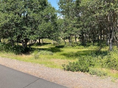 Lake Lot For Sale in Klamath Falls, Oregon