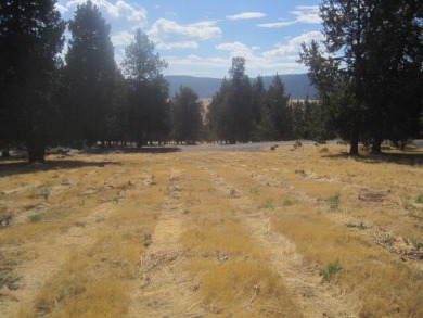 Lake Lot For Sale in Klamath Falls, Oregon