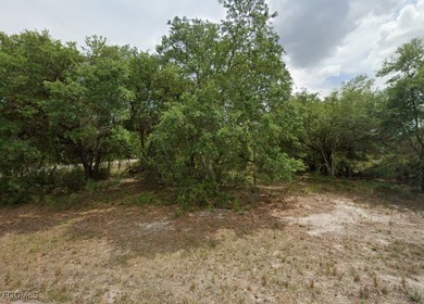 Lehigh Acres Area Lot For Sale in Lehigh Acres Florida