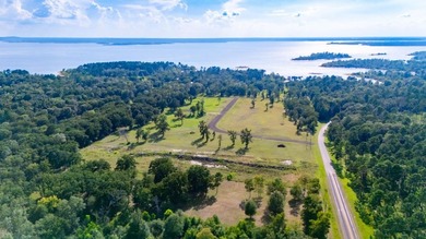 Own Your Slice of Paradise on Lake Sam Rayburn Welcome to a rare - photo 3