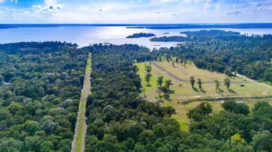 Own Your Slice of Paradise on Lake Sam Rayburn Welcome to a rare - photo 5