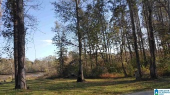 Pretty waterfront lot with beautiful sunset each day. The - Lake Lot For Sale in Riverside, Alabama