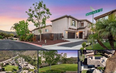29822 JODI ANN CT - photo 1
