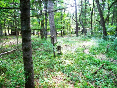 Sold AS-IS. Looking for something close to the lake but still - photo 8
