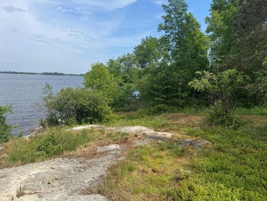 3.64 acres on Lake Kabetogama adjacent to Voyagers National Park - photo 2