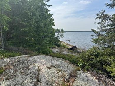 3.64 acres on Lake Kabetogama adjacent to Voyagers National Park - photo 3