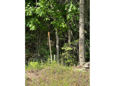 3.64 acres on Lake Kabetogama adjacent to Voyagers National Park - photo 7