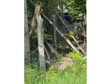 3.64 acres on Lake Kabetogama adjacent to Voyagers National Park - photo 8