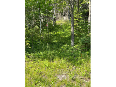 3.64 acres on Lake Kabetogama adjacent to Voyagers National Park - photo 9