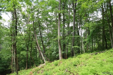  Lot For Sale in Cashiers North Carolina