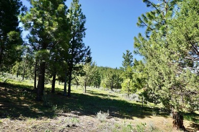 WHOOP! HERE IT IS! A rare and spectacular Gold Mountain lot that - photo 11