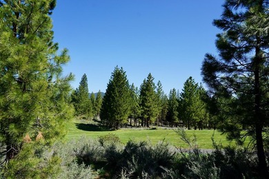 WHOOP! HERE IT IS! A rare and spectacular Gold Mountain lot that - photo 12