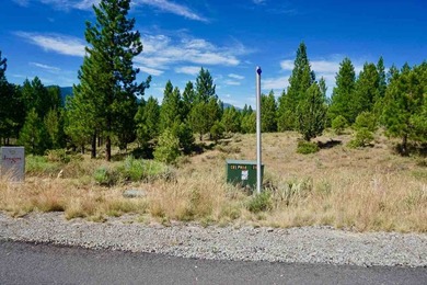 WHOOP! HERE IT IS! A rare and spectacular Gold Mountain lot that - photo 13