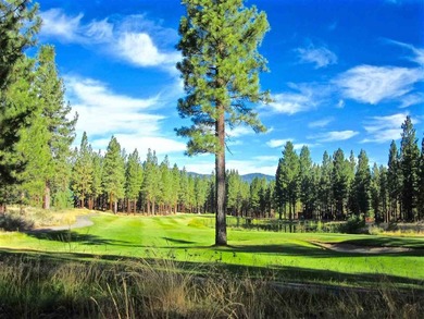 WHOOP! HERE IT IS! A rare and spectacular Gold Mountain lot that - photo 18