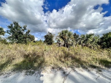 (private lake, pond, creek) Lot For Sale in Punta Gorda Florida