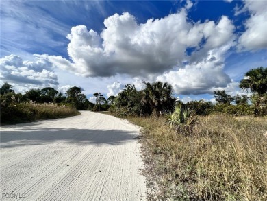 Gulf access lot located in a very nice secluded area near new - photo 3