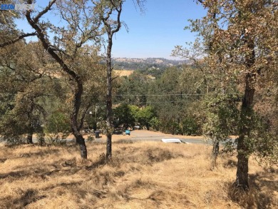 New Hogan Lake Lot For Sale in Valley Springs California