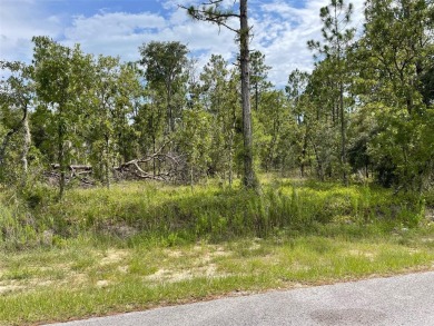 Lake Lot For Sale in Dunnellon, Florida