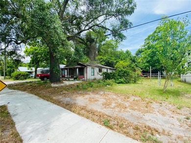 This property is perfect for a investor willing to remodel - photo 11