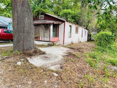 This property is perfect for a investor willing to remodel - photo 12