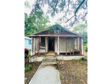 This property is perfect for a investor willing to remodel - photo 13
