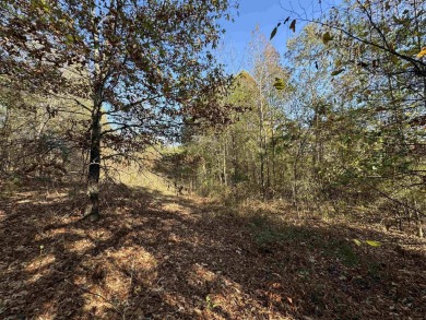 Lake Lot For Sale in Benton, Arkansas