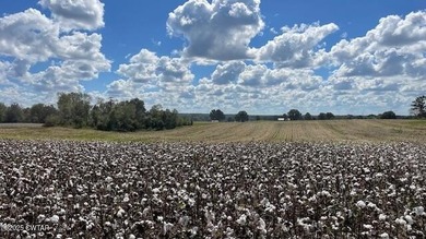 (private lake, pond, creek) Acreage For Sale in Medina Tennessee