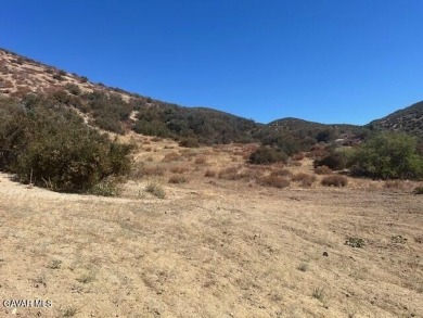 Lake Lot For Sale in Lake Elizabeth, California