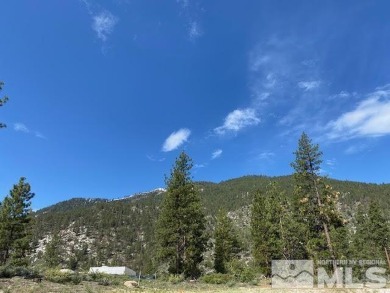 Lake Lot For Sale in Carson City, Nevada