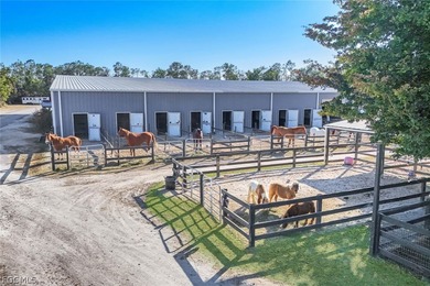 Luxury Equestrian Estate Near Naples Welcome to a rare - photo 2