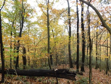 (private lake, pond, coastal) Lot For Sale in Fancy Gap Virginia