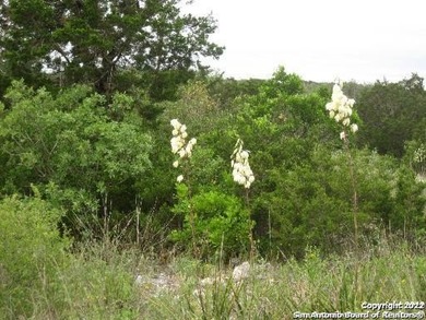 Build your dream home on these 5+ acres. With majestic views - photo 6