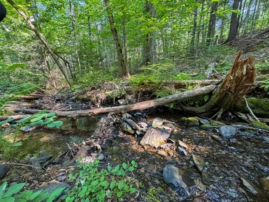 Welcome to 498 Freedom Road in Prentiss, Maine, an affordable - photo 18
