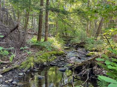 Welcome to 498 Freedom Road in Prentiss, Maine, an affordable - photo 19