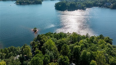 One of the very few unimproved waterfront point home sites - photo 24