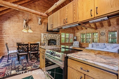 Your Dream Homestead Awaits: 3-Bedroom Log Home with Exceptional - photo 25